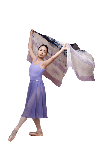 A ballet dancer in a light purple leotard and flowing skirt, holding a large scarf aloft, creating a sense of movement.